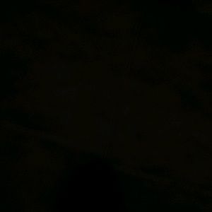 Meet your Posher, Sean